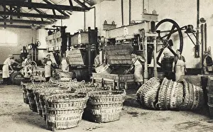Chandon: Moet et Chandon Factory - the press