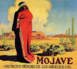 Mojave: Mojave in Desert