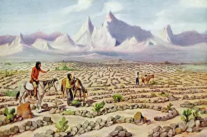 Maze: MOJAVE MAZE
