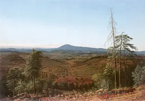 Albertus: Mokelumne Hill