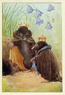 Printedcopy: Mole's Castle