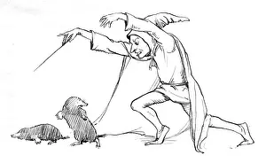 Moles: Two moles and wizard