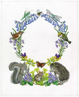 Molly Brett - An Alphabet