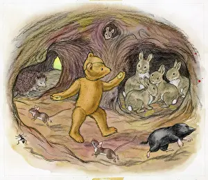 Forgotten: Molly Brett - The Forgotten Bear
