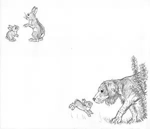 Hurry: Molly Brett - Hare in a Hurry