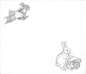 Hurry: Molly Brett - Hare in a Hurry