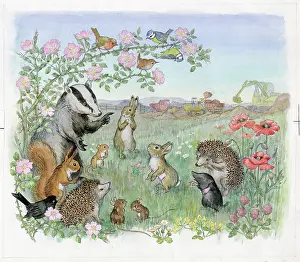 Hurry: Molly Brett - Hare in a Hurry