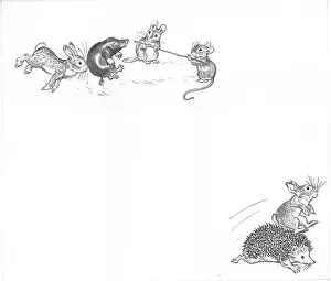 Hurry: Molly Brett - Hare in a Hurry