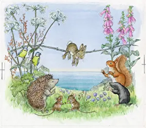 Hurry: Molly Brett - Hare in a Hurry