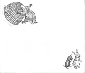 Hurry: Molly Brett - Hare in a Hurry