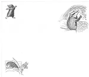 Hurry: Molly Brett - Hare in a Hurry