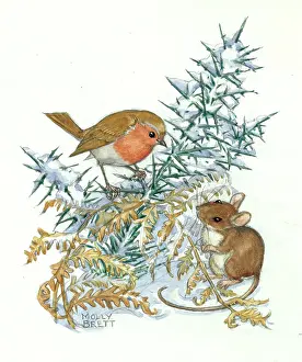 Bracken: Molly Brett Illustration