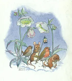 Molly Brett Illustration