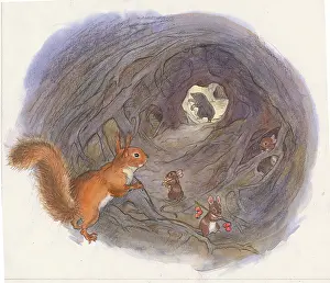 Jiggys: Molly Brett - Jiggy's Treasure Hunt