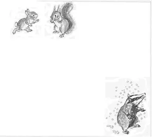 Jiggys: Molly Brett - Jiggy's Treasure Hunt