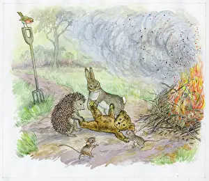 Jumble: Molly Brett - The Jumble Bears