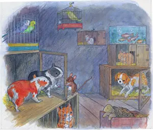 Midget: Molly Brett - Midget and the Pet Shop