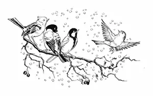 Molly Brett - Robin Finds Christmas