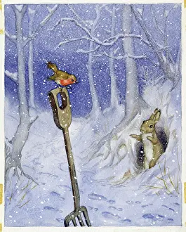Molly Brett - Robin Finds Christmas