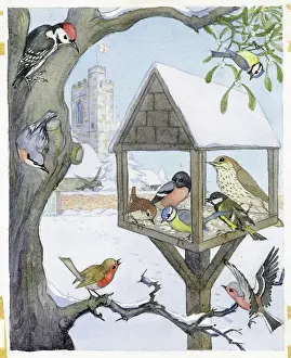 Molly Brett - Robin Finds Christmas