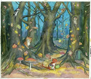 Doormouse: Molly Brett - A Surprise for Dumpy