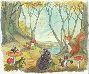 Doormouse: Molly Brett - A Surprise for Dumpy