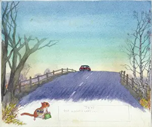 Doormouse: Molly Brett - A Surprise for Dumpy