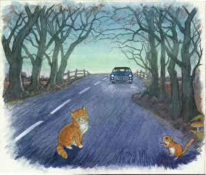 Doormouse: Molly Brett - A Surprise for Dumpy