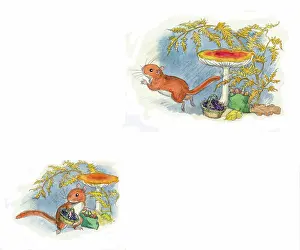 Doormouse: Molly Brett - A Surprise for Dumpy