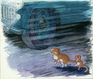 Doormouse: Molly Brett - A Surprise for Dumpy