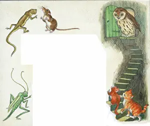 Doormouse: Molly Brett - A Surprise for Dumpy