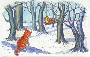 Doormouse: Molly Brett - A Surprise for Dumpy