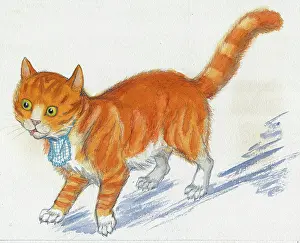 Doormouse: Molly Brett - A Surprise for Dumpy