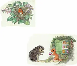 Doormouse: Molly Brett - A Surprise for Dumpy