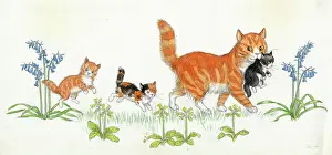 Doormouse: Molly Brett - A Surprise for Dumpy