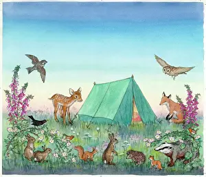 Molly Brett - Two in a Tent