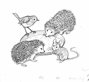 Untidy: Molly Brett - The Untidy Little Hedgehog