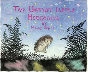 Untidy: Molly Brett - The Untidy Little Hedgehog