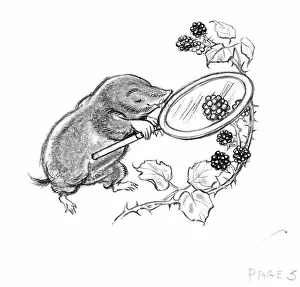 Untidy: Molly Brett - The Untidy Little Hedgehog