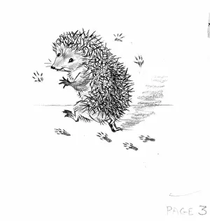 Untidy: Molly Brett - The Untidy Little Hedgehog