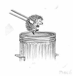 Untidy: Molly Brett - The Untidy Little Hedgehog