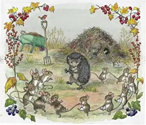 Untidy: Molly Brett - The Untidy Little Hedgehog