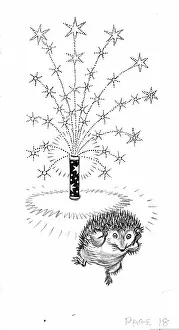 Untidy: Molly Brett - The Untidy Little Hedgehog