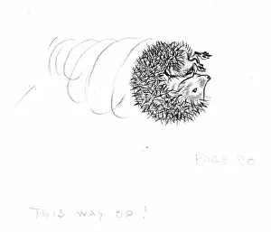 Untidy: Molly Brett - The Untidy Little Hedgehog