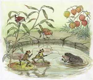 Untidy: Molly Brett - The Untidy Little Hedgehog