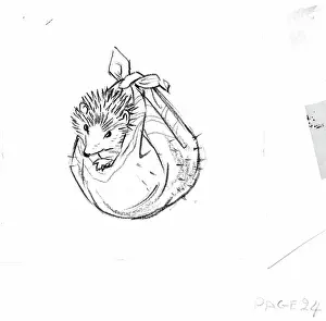 Untidy: Molly Brett - The Untidy Little Hedgehog