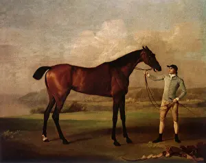 1762: Molly Long-Legs, by Stubbs