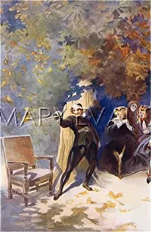 Rostand: MON PANACHE !