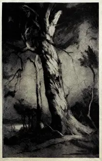 Raalte: The Monarch