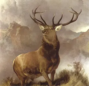 Landseer: The Monarch of the Glen, by Landseer